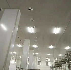 楚雄食品潔凈工程安裝與施工 專業(yè)技術(shù)保障食品安全