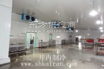 大型海鮮冷凍冷庫(kù)工程造價(jià)預(yù)算與建筑安裝工程解析