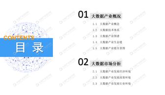 2019年中國(guó)大數(shù)據(jù)產(chǎn)業(yè)市場(chǎng)前景研究報(bào)告——應(yīng)用軟件服務(wù)篇